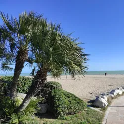 Civitanova Marche Beach - Civitanova Marche