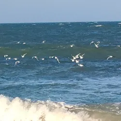 Lungomare Piermanni - Civitanova Marche