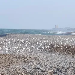 Lungomare Piermanni - Civitanova Marche