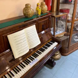 Mercato Settimanale di Civitanova Marche - Civitanova Marche