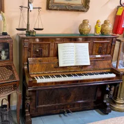 Mercato Settimanale di Civitanova Marche - Civitanova Marche