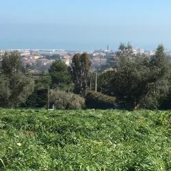 Villa Conti - Civitanova Marche