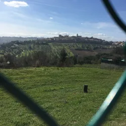 Villa Conti - Civitanova Marche