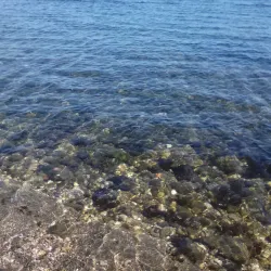 Lungomare Thaon de Revel - Civitavecchia