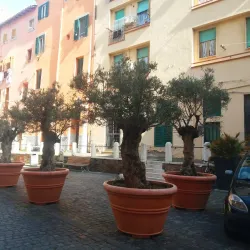 Piazza Leandra - Civitavecchia