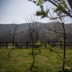 Ecomuseo delle Valli del Chianti e del Val d'Elsa - Colle di Val d'Elsa