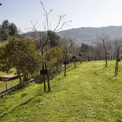 Ecomuseo delle Valli del Chianti e del Val d'Elsa - Colle di Val d'Elsa