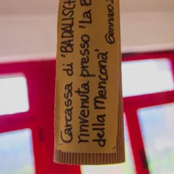 Ecomuseo delle Valli del Chianti e del Val d'Elsa - Colle di Val d'Elsa