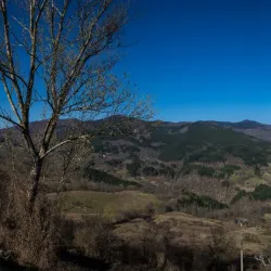 Ecomuseo delle Valli del Chianti e del Val d'Elsa - Colle di Val d'Elsa