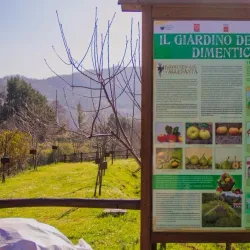 Ecomuseo delle Valli del Chianti e del Val d'Elsa - Colle di Val d'Elsa