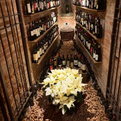 Porta Nova - Colle di Val d'Elsa