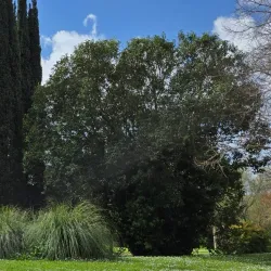 Parco della Pace - Colleferro