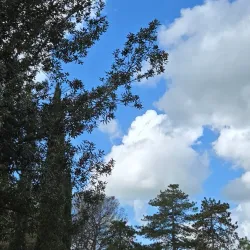 Parco della Pace - Colleferro