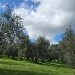 Parco della Pace - Colleferro