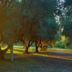 Parco della Pace - Colleferro