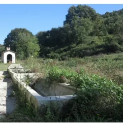 Riserva Naturale della Marcigliana - Colleferro