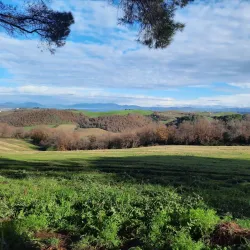 Riserva Naturale della Marcigliana - Colleferro