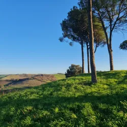 Riserva Naturale della Marcigliana - Colleferro