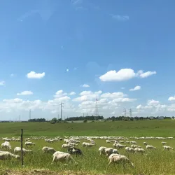Riserva Naturale della Marcigliana - Colleferro