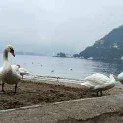 Tempio Voltiano - Como