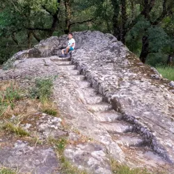 Riserva Naturale Orientata Bosco della Ficuzza - Corleone