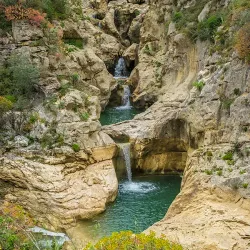 Riserva Naturale Orientata Bosco della Ficuzza - Corleone