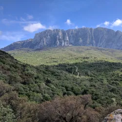 Riserva Naturale Orientata Bosco della Ficuzza - Corleone