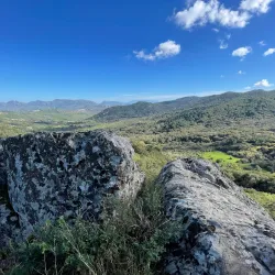 Riserva Naturale Orientata Bosco della Ficuzza - Corleone