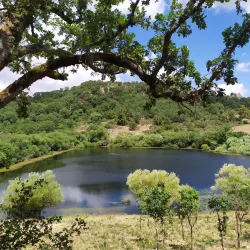 Riserva Naturale Orientata Bosco della Ficuzza - Corleone
