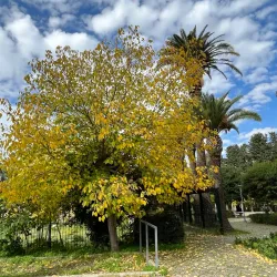 Villa Comunale di Corleone - Corleone