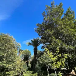 Villa Comunale di Corleone - Corleone