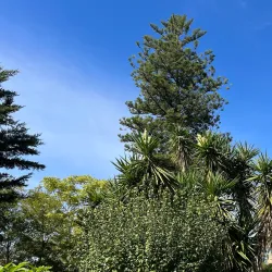 Villa Comunale di Corleone - Corleone