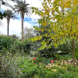 Villa Comunale di Corleone - Corleone