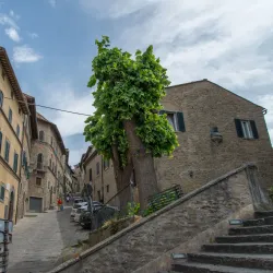 Church of San Francesco - Cortona