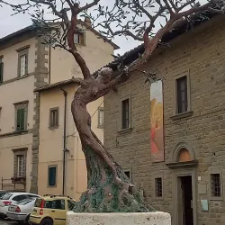 Diocesan Museum (Museo Diocesano) - Cortona