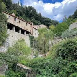 Eremo Le Celle - Cortona