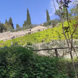 Eremo Le Celle - Cortona