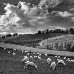 Val di Chiana Viewpoints - Cortona
