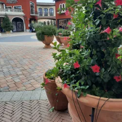 Val di Chiana Viewpoints - Cortona