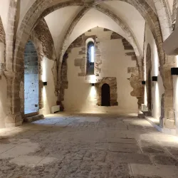 Norman-Swabian Castle (Castello Normanno-Svevo) - Cosenza