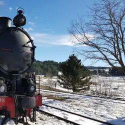 Sila National Park (Parco Nazionale della Sila) - Cosenza