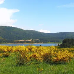 Sila National Park (Parco Nazionale della Sila) - Cosenza
