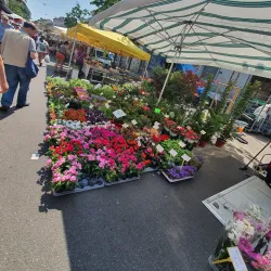 Local Markets of Crema - Crema