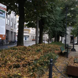 Pietra Tombale di A. Stradivari - Cremona