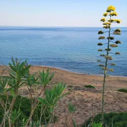 Spiaggia di Crotone - Crotone