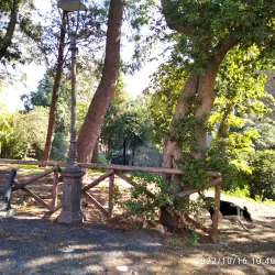 Teatro Comunale di Crotone - Crotone