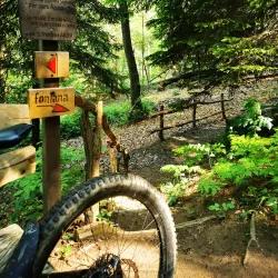 Fontana dei Conti Giovanelli - Cuneo
