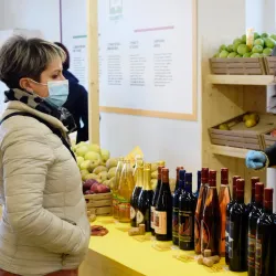 Mercato Coperto di Cuneo - Cuneo