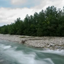 Parco Fluviale Gesso e Stura - Cuneo