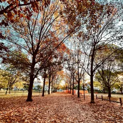 Parco della Resistenza - Domodossola